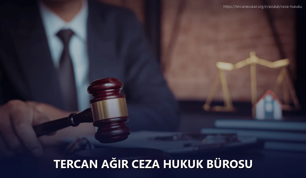 Tercan Ağır Ceza Hukuk Bürosu