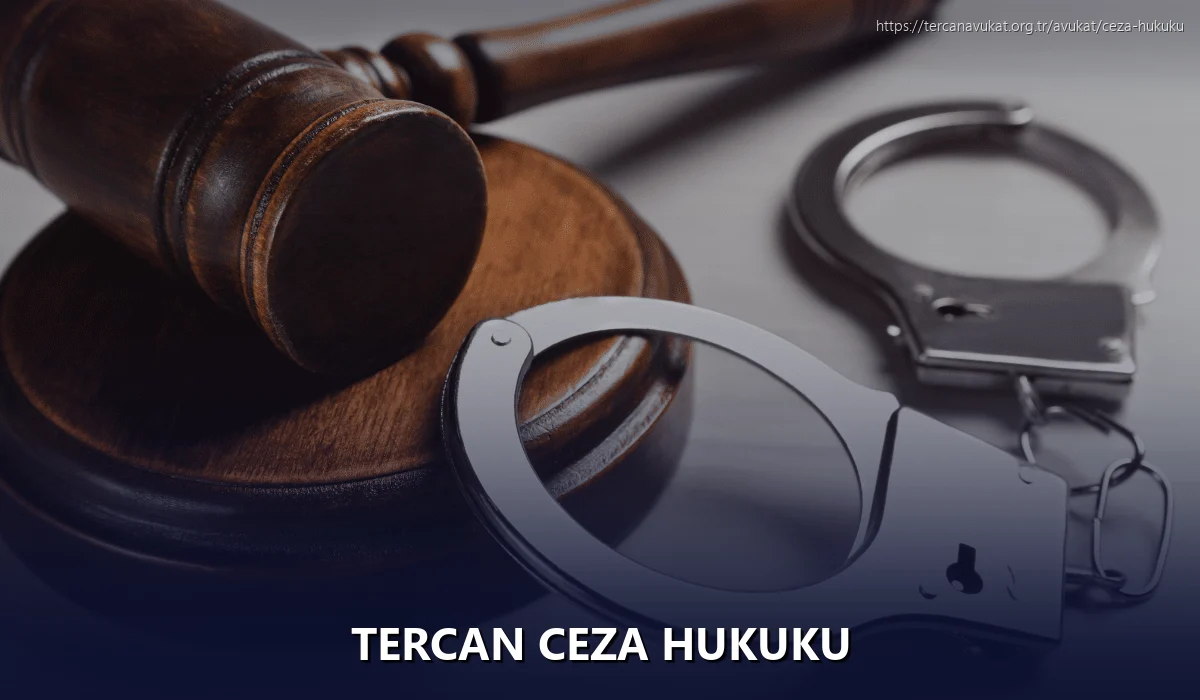 Tercan Ceza Hukuku