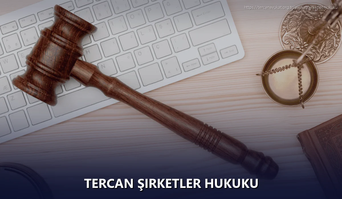 Tercan Şirketler Hukuku